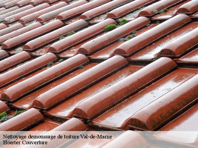 Nettoyage demoussage de toiture 94 Val-de-Marne  Hoerter Couverture