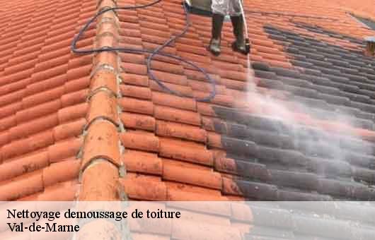 Nettoyage demoussage de toiture Val-de-Marne