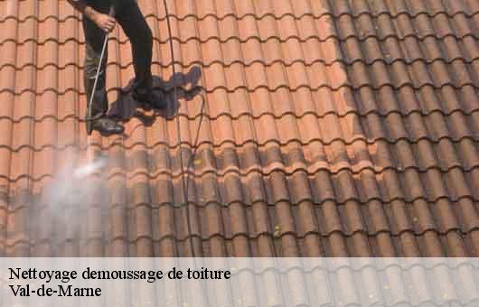 Nettoyage demoussage de toiture
