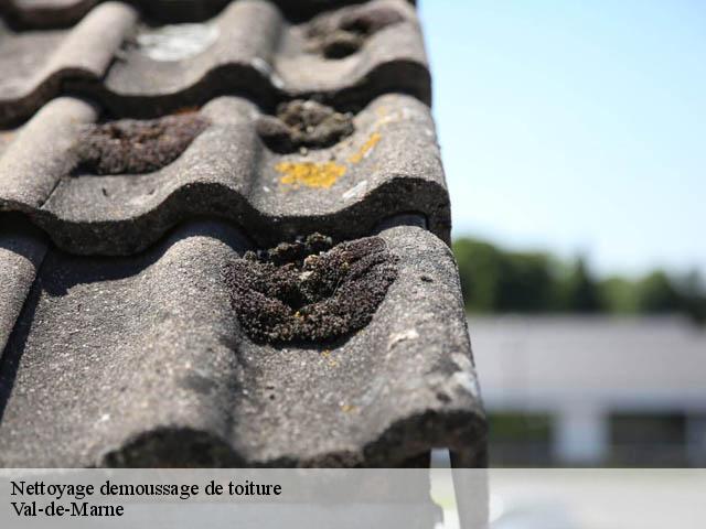 Nettoyage demoussage de toiture Val-de-Marne 
