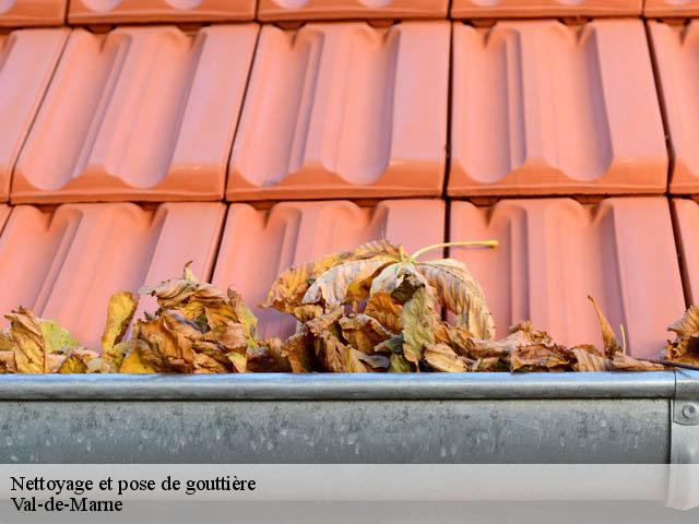 Nettoyage et pose de gouttière Val-de-Marne 