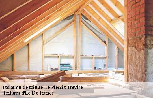 Isolation de toiture  94420