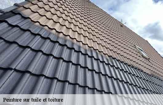 Peinture sur tuile et toiture