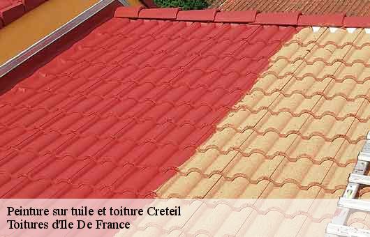 Peinture sur tuile et toiture  94000