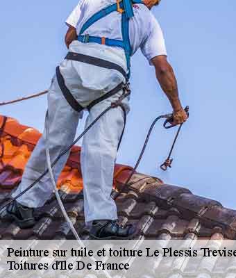 Peinture sur tuile et toiture le-plessis-trevise-94420 Toitures d'Ile De France