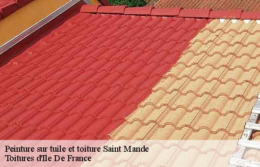 Peinture sur tuile et toiture 94160