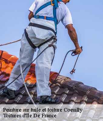 Peinture sur tuile et toiture coeuilly-94500 Toitures d'Ile De France