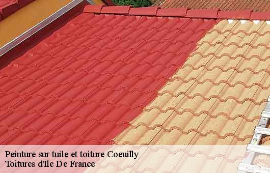 Peinture sur tuile et toiture 94500