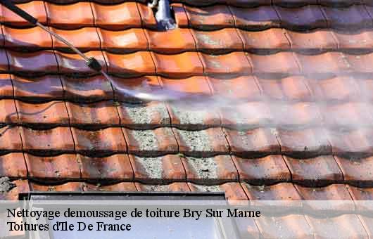 Nettoyage demoussage de toiture 94360