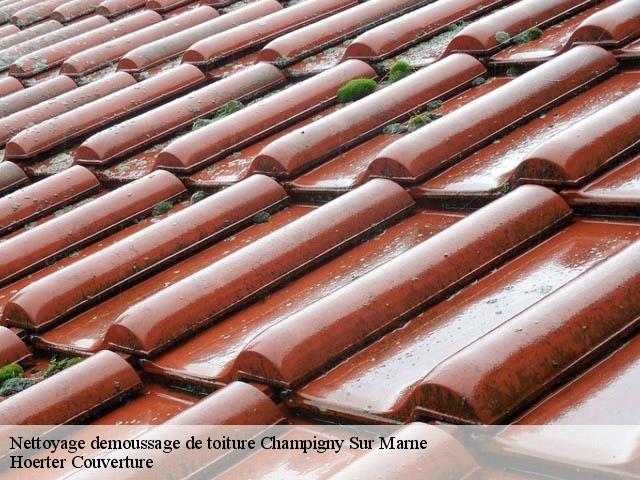 Nettoyage demoussage de toiture  champigny-sur-marne-94500 Hoerter Couverture