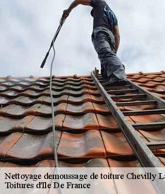 Nettoyage demoussage de toiture  chevilly-larue-94550 Toitures d'Ile De France