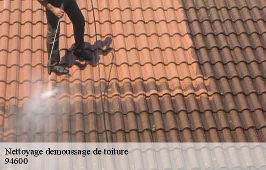 Nettoyage demoussage de toiture