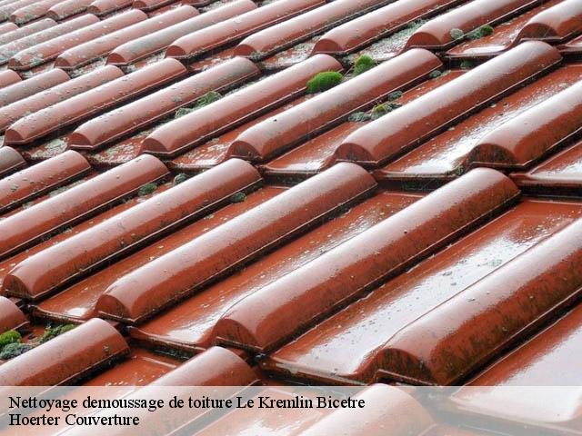 Nettoyage demoussage de toiture le-kremlin-bicetre-94270 Hoerter Couverture