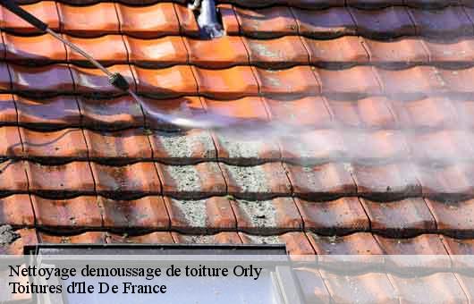 Nettoyage demoussage de toiture 94310