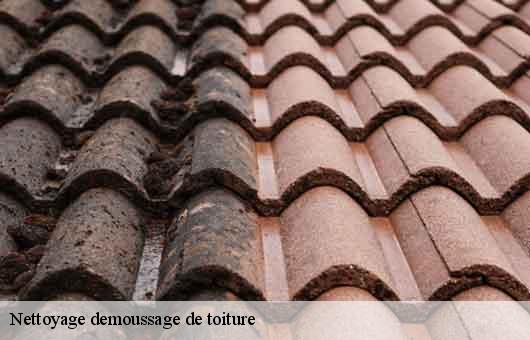 Nettoyage demoussage de toiture