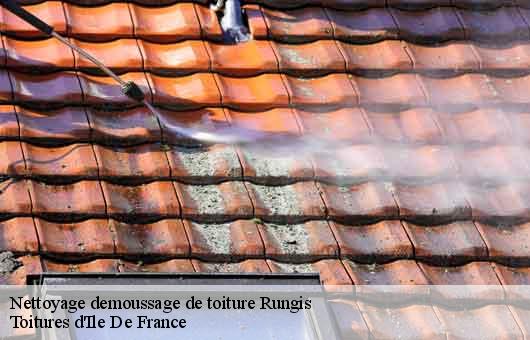 Nettoyage demoussage de toiture  94150