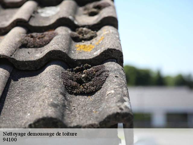 Nettoyage demoussage de toiture 94100