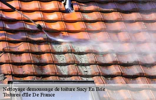 Nettoyage demoussage de toiture 94370