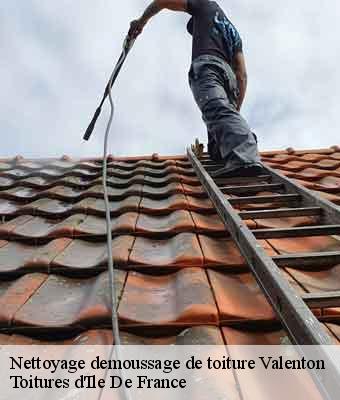 Nettoyage demoussage de toiture  valenton-94460 Toitures d'Ile De France