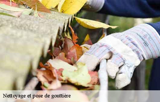 Nettoyage et pose de gouttière