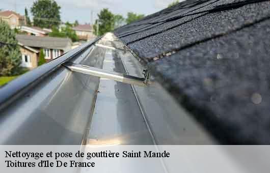 Nettoyage et pose de gouttière  94160