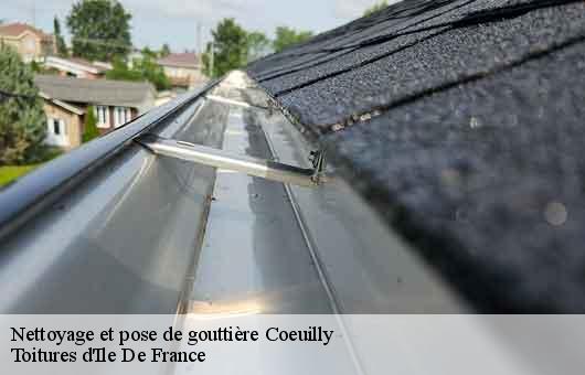 Nettoyage et pose de gouttière  94500