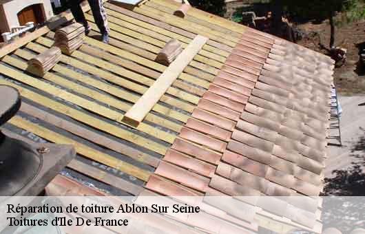 Réparation de toiture  94480