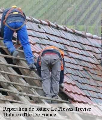 Réparation de toiture le-plessis-trevise-94420 Toitures d'Ile De France