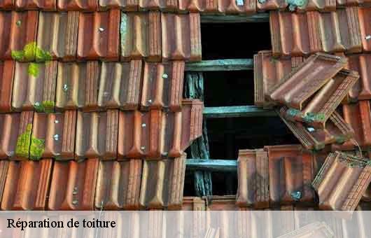 Réparation de toiture