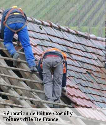 Réparation de toiture  coeuilly-94500 Toitures d'Ile De France