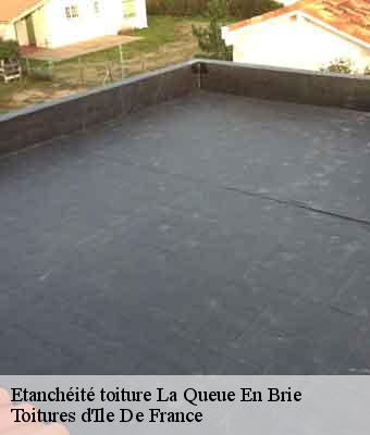 Etanchéité toiture  la-queue-en-brie-94510 Toitures d'Ile De France