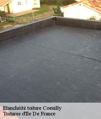 Etanchéité toiture coeuilly-94500 Toitures d'Ile De France